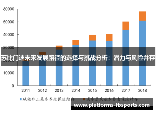 苏比门迪未来发展路径的选择与挑战分析：潜力与风险并存