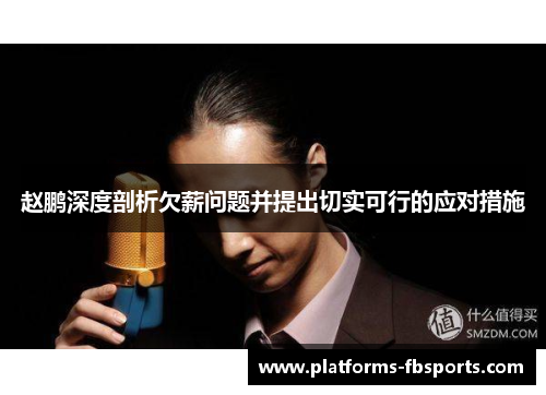 赵鹏深度剖析欠薪问题并提出切实可行的应对措施