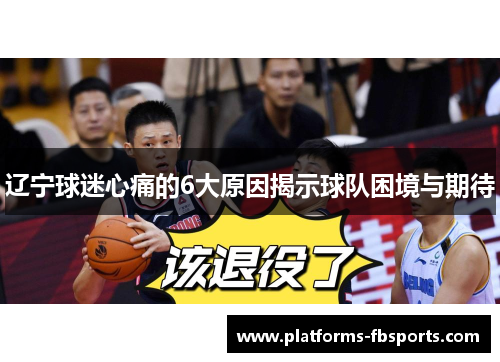 辽宁球迷心痛的6大原因揭示球队困境与期待