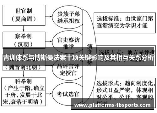 青训体系与博斯曼法案十项关键影响及其相互关系分析