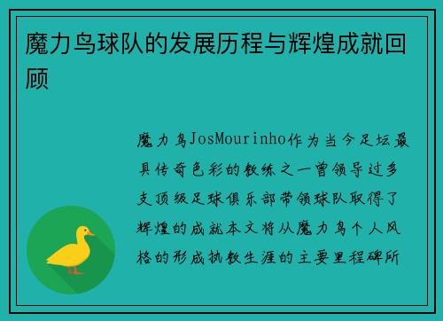 魔力鸟球队的发展历程与辉煌成就回顾 魔力鸟球队的发展历程与辉煌成就回顾