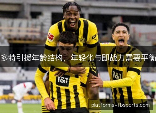多特引援年龄结构，年轻化与即战力需要平衡